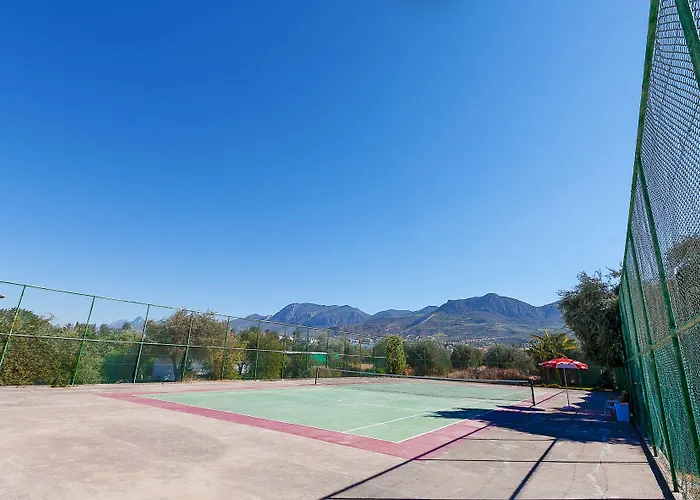 Ξενοδοχείο The Ship 3*